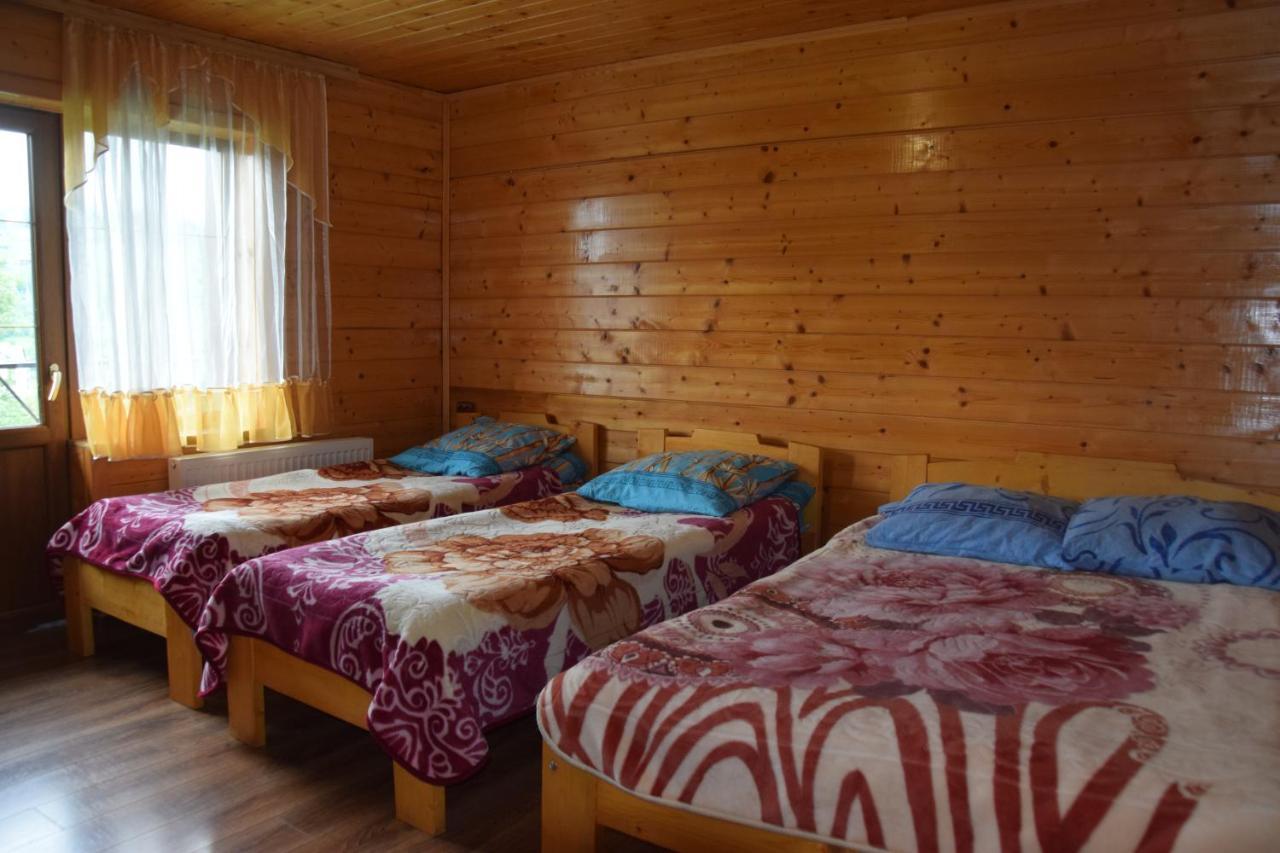 Аура Карпат Villa Slavske Eksteriør billede
