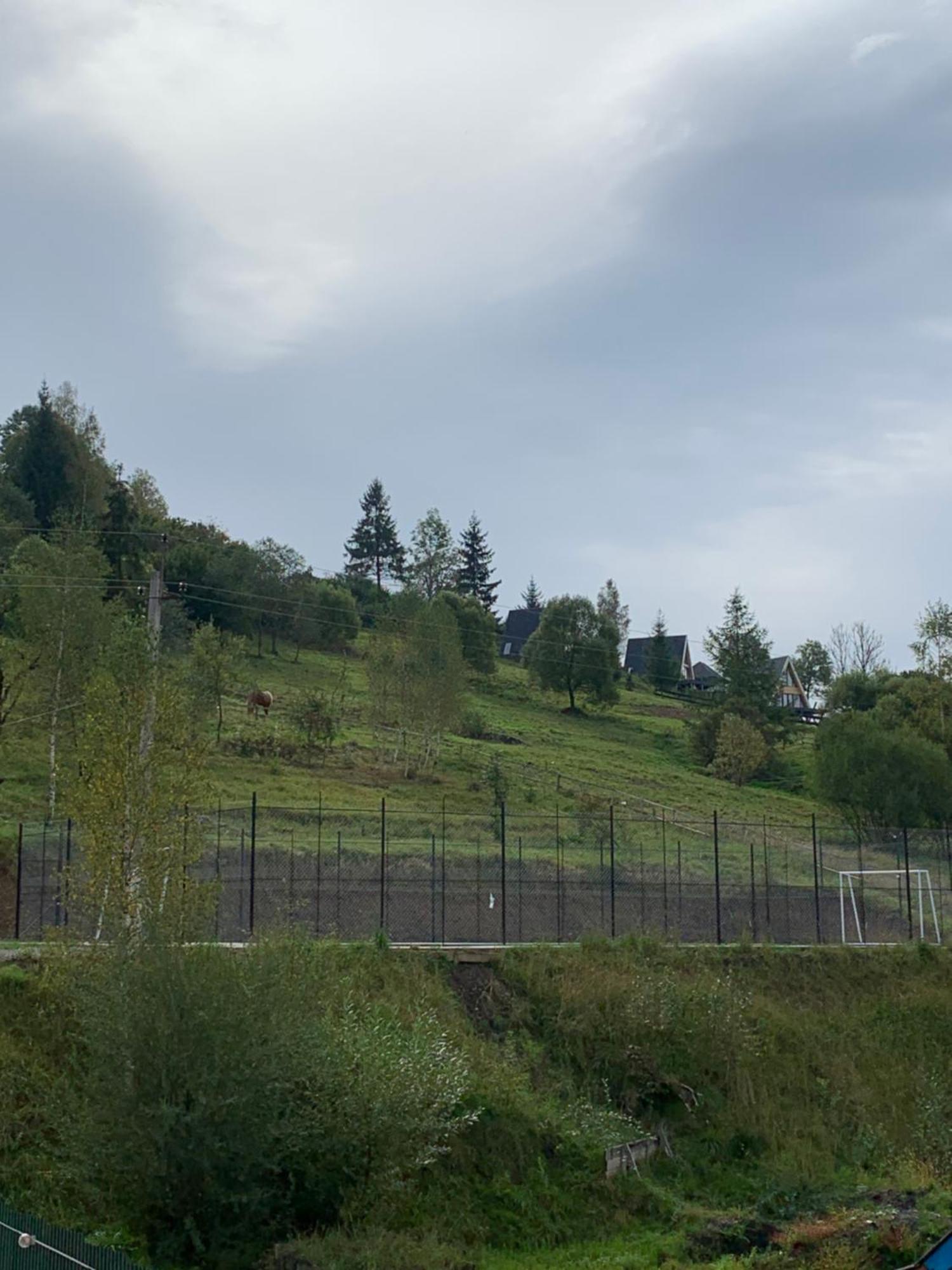 Аура Карпат Villa Slavske Eksteriør billede
