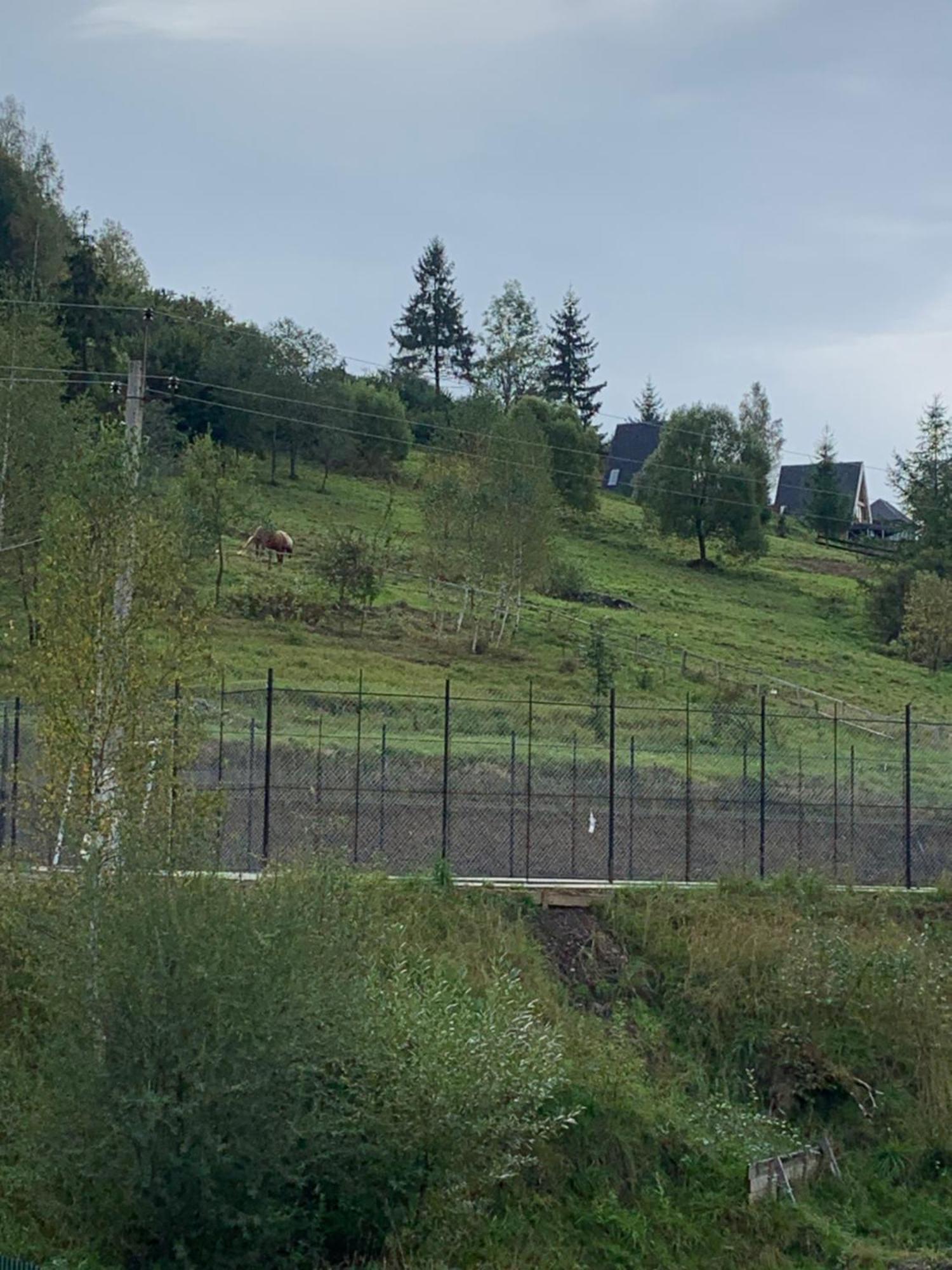 Аура Карпат Villa Slavske Eksteriør billede